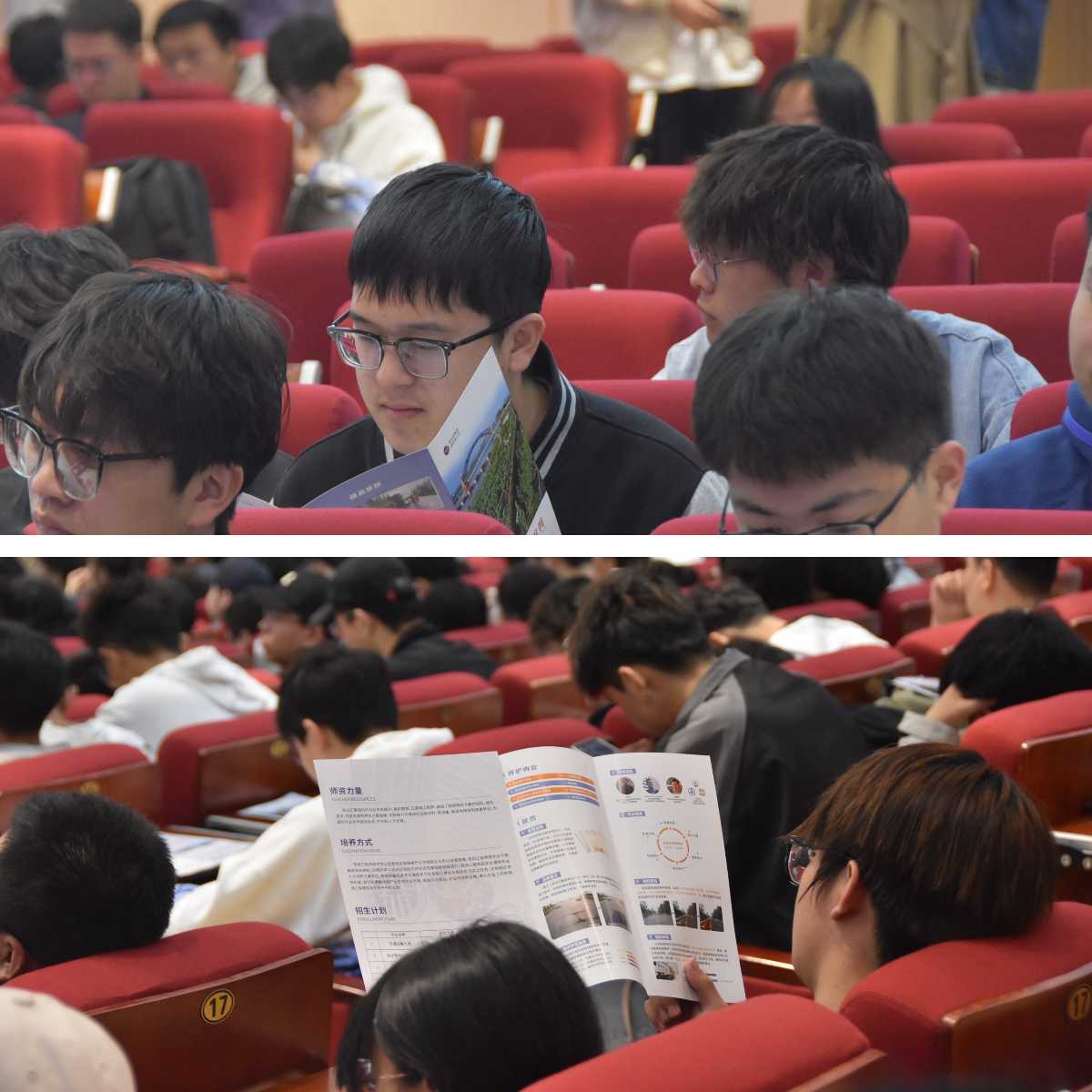 下载.jpg