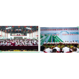 喜跃发集团2019年度创新表彰暨2020年上半年工作总结大会圆满召开