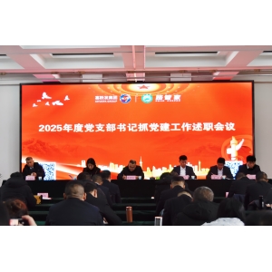 喜跃发集团召开2025年度党支部书记述职会议夯实党建根基引领企业发展