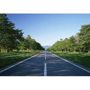 沥青路面病害及其养护