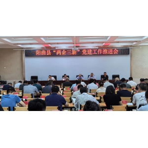 阳曲县委社会工作部召开“两企三新”党建工作推进会