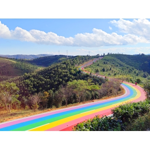 喜跃发集团创造了最大彩色茶园道路世界记录（WRCA）