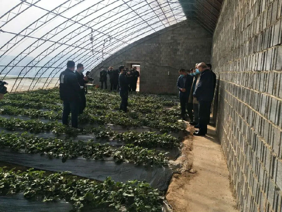 省委脱贫攻坚第一督导组一行调研喜跃发集团生态农业基地(图2)