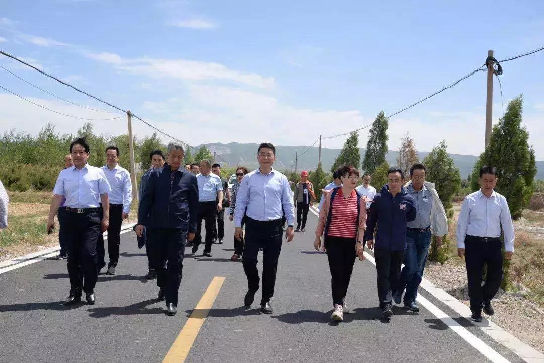  交通运输部领导来我公司检查指导(图3)