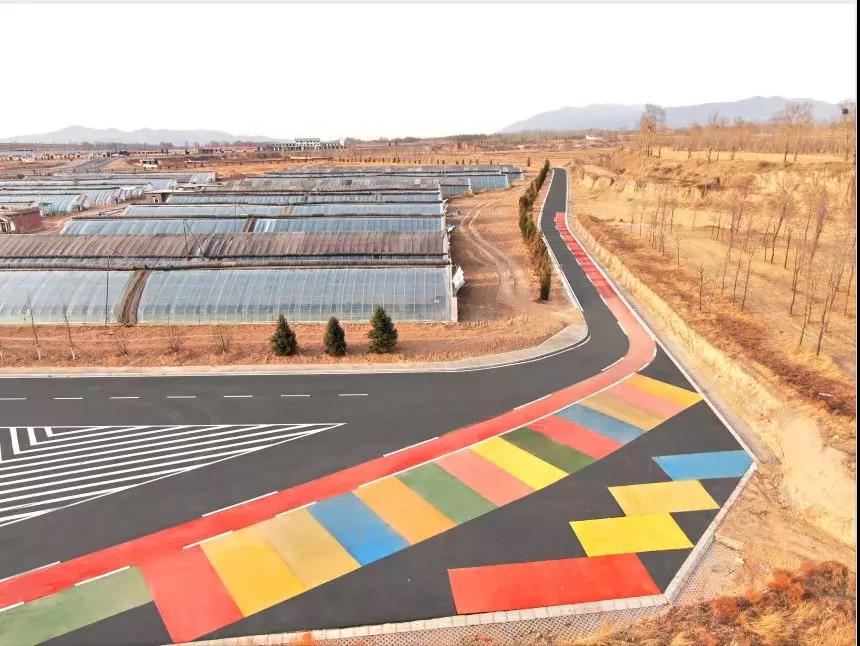 喜跃发集团公司组织2019新员工参观生产基地(图7)