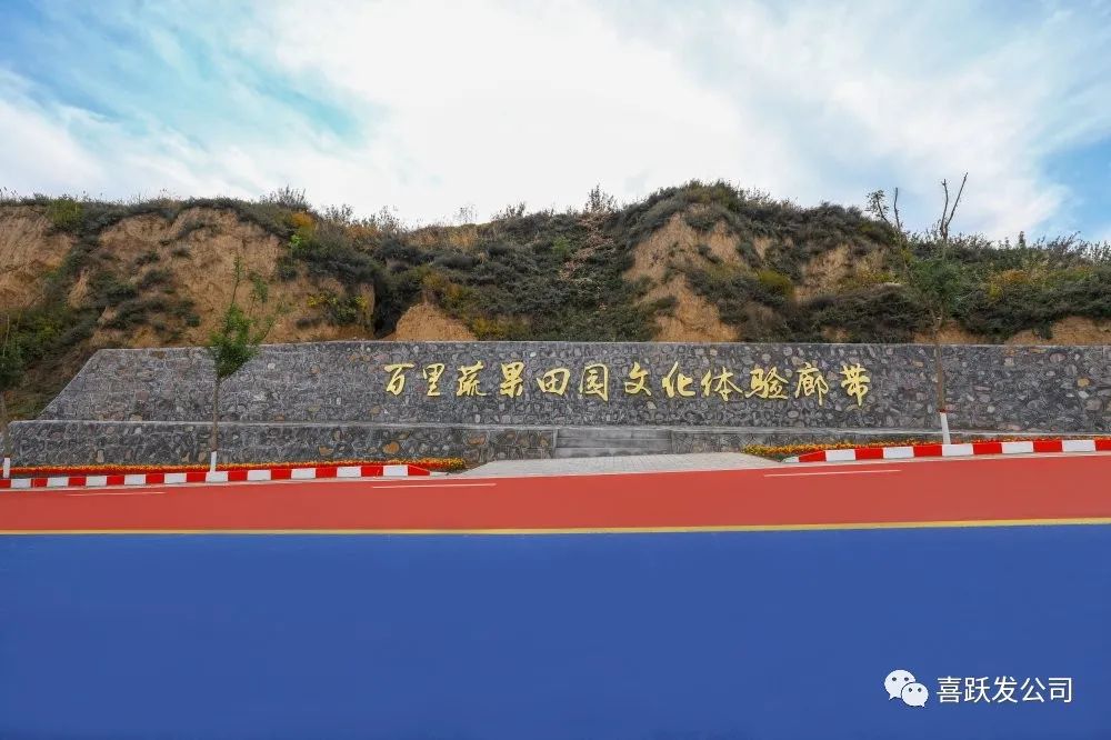 彩色道路|晋中百里蔬果田园文化体验廊带精彩亮相(图4)