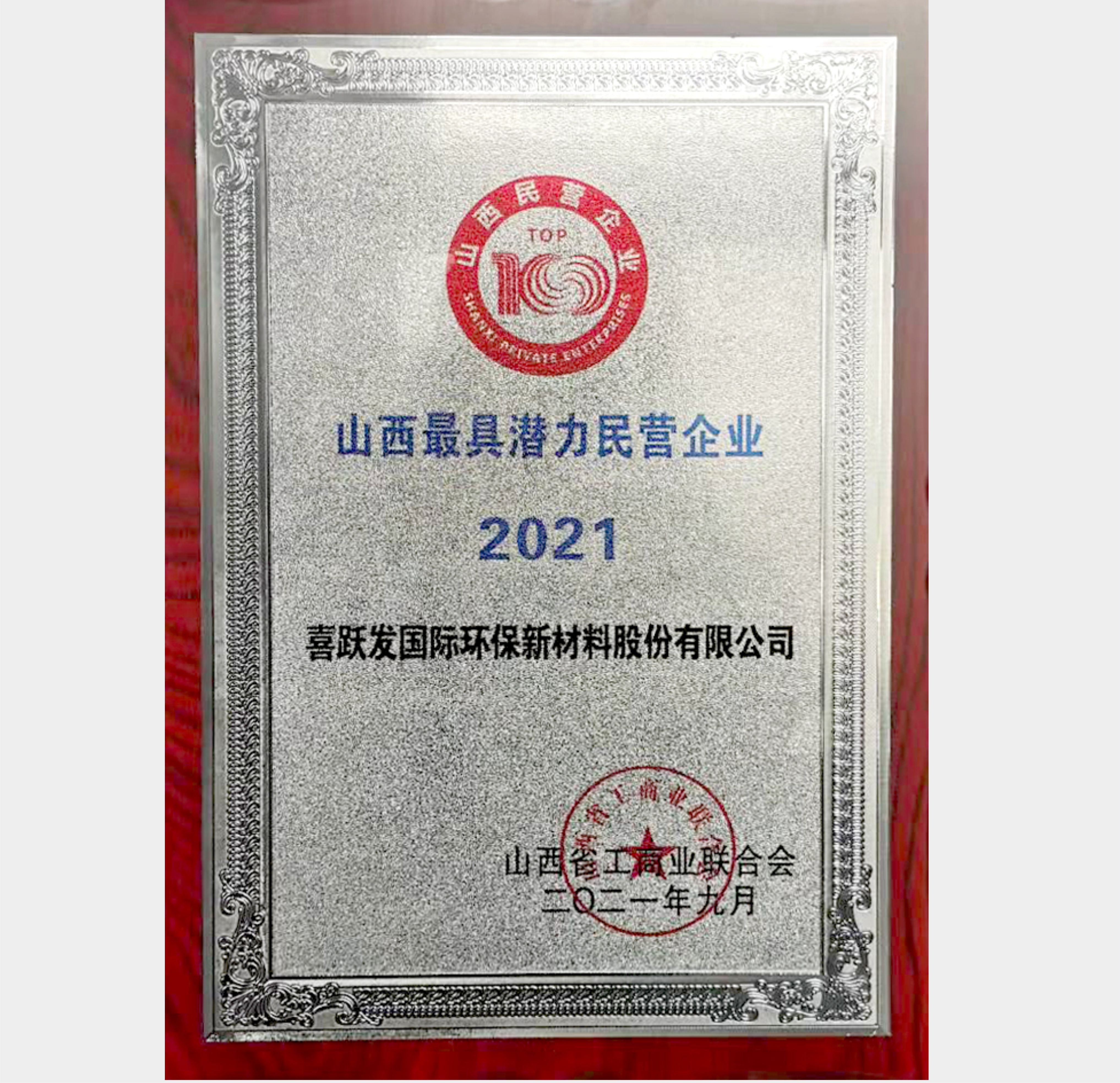 喜跃发荣登“2021山西省最具潜力民营企业”榜单(图2)